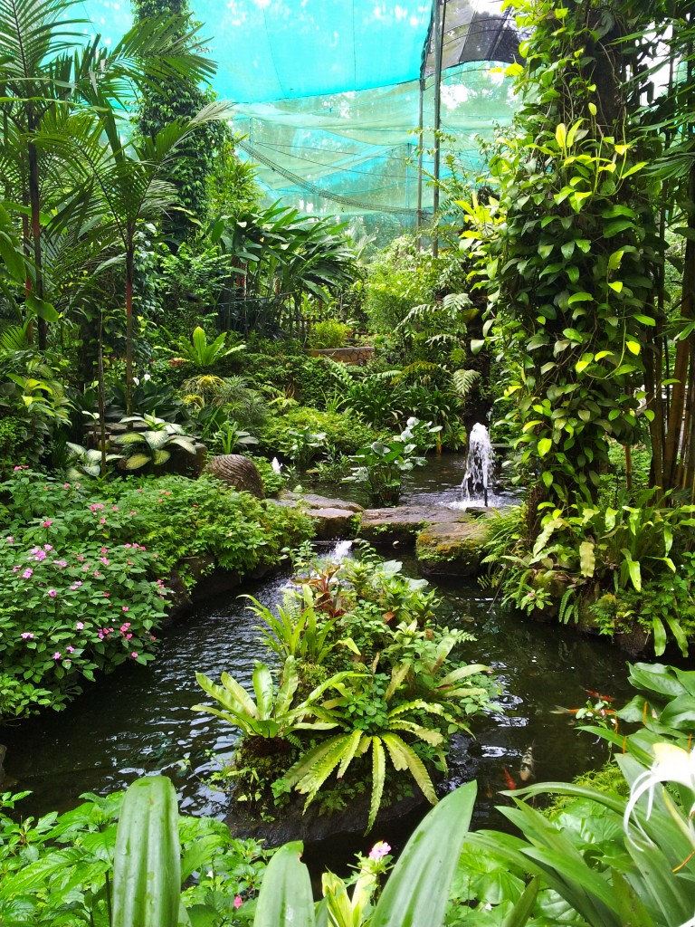 Butterfly Park Kl