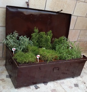 Upcycle Mediterranean Herb Box